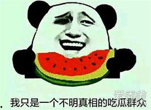 吃瓜不吃瓜看什么意思呀