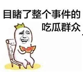侃侃吃瓜群众,揭秘网络热议背后的真相与趣味