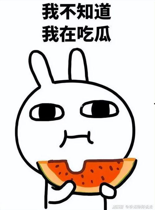 阿星吃瓜日常