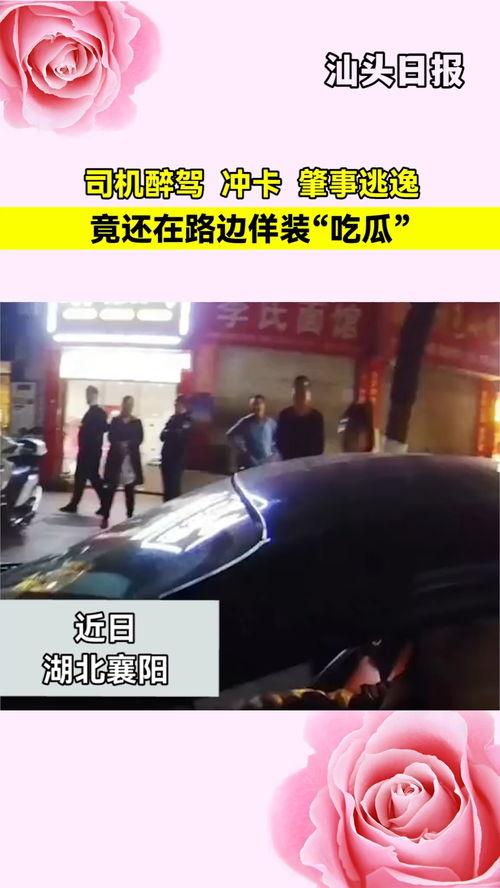 肇事司机假装吃瓜